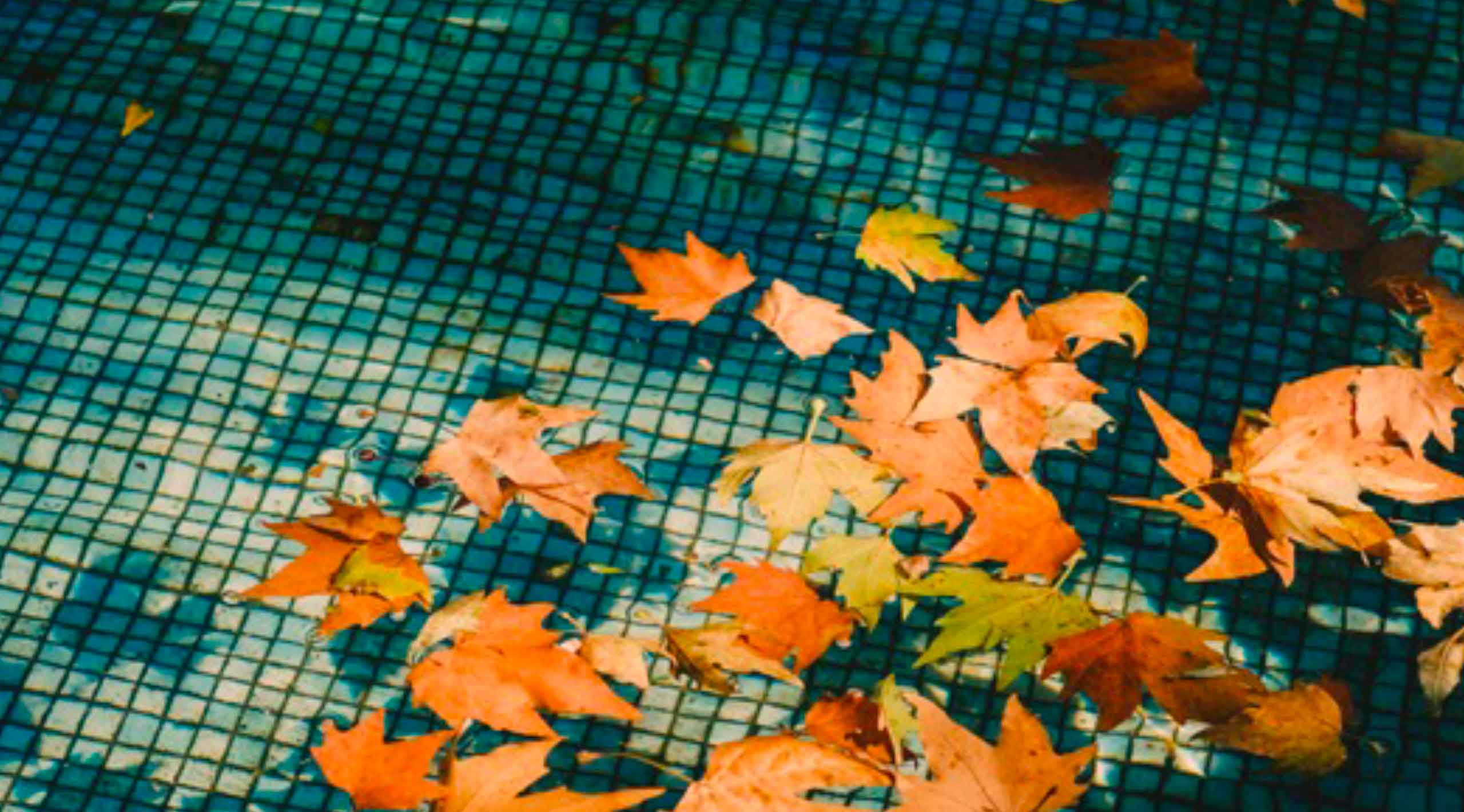 Art & Loisirs Piscine - Hivernage